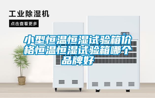 欧美黄色性爱视频网站 小型恒温恒湿试验箱价格恒温恒湿试验箱哪个品牌好
