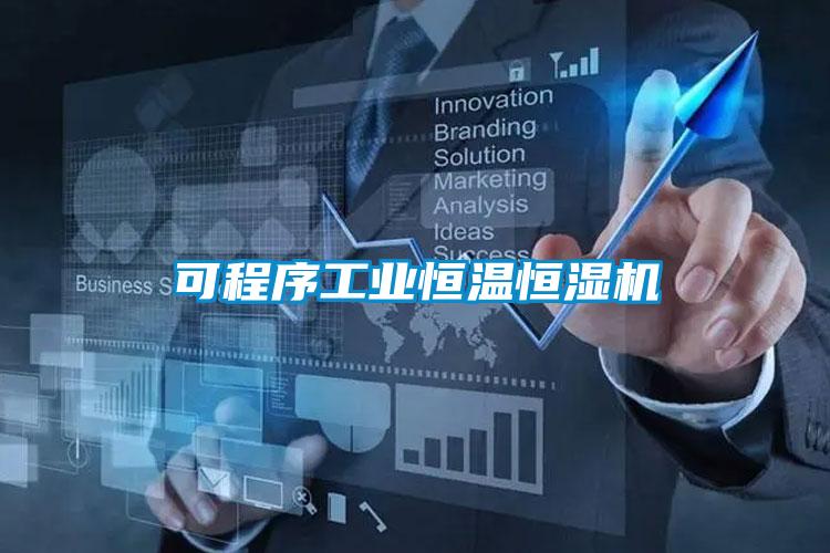 欧美黄色性爱视频网站 可程序工业恒温恒湿机