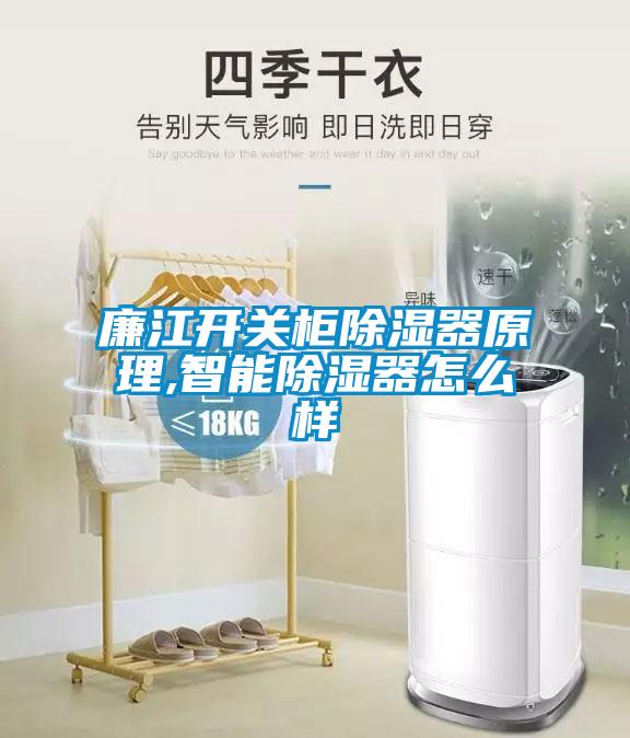 欧美成色手机在线观看 廉江开关柜除湿器原理,智能除湿器怎么样