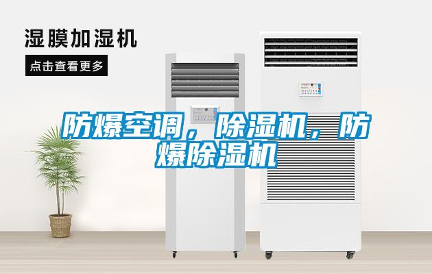欧美成色手机在线观看 防爆空调，除湿机，防爆除湿机