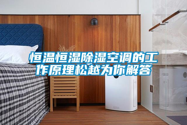 欧美黄色电影在线播放 恒温恒湿除湿空调的工作原理松越为你解答