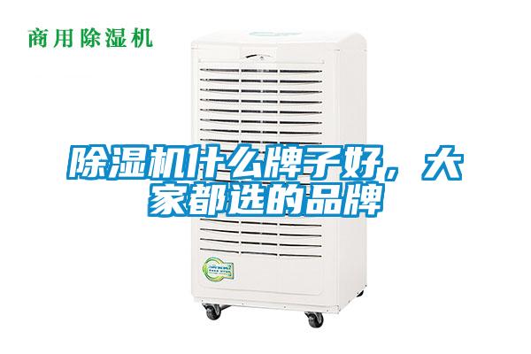 欧美黄色电影在线播放 除湿机什么牌子好，大家都选的品牌