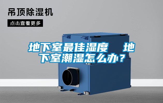 欧美黄色性爱视频网站 地下室最佳湿度  地下室潮湿怎么办？