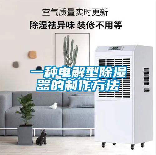 欧美成色手机在线观看 一种电解型除湿器的制作方法