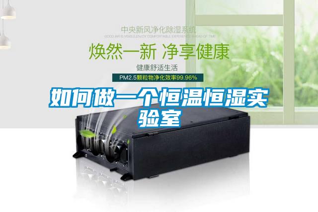 欧美黄色性爱视频网站 如何做一个恒温恒湿实验室