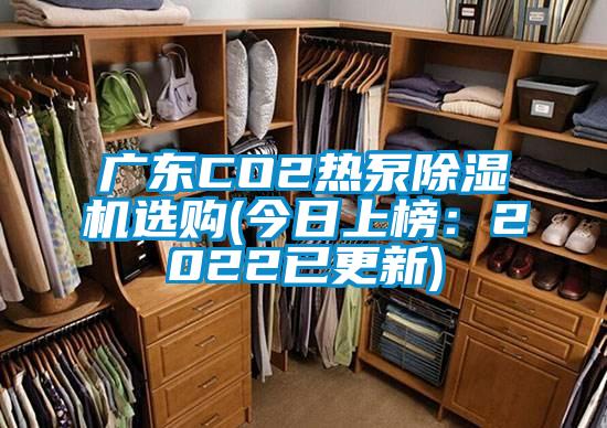 欧美黄色性爱视频网站 广东CO2热泵除湿机选购(今日上榜：2022已更新)