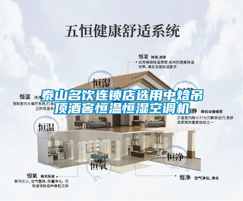 欧美黄色电影在线播放 泰山名饮连锁店选用中焓吊顶酒窖恒温恒湿空调机