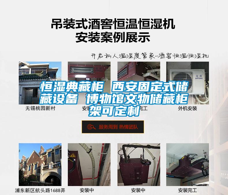 欧美黄色电影在线播放 恒湿典藏柜 西安固定式储藏设备 博物馆文物储藏柜架可定制