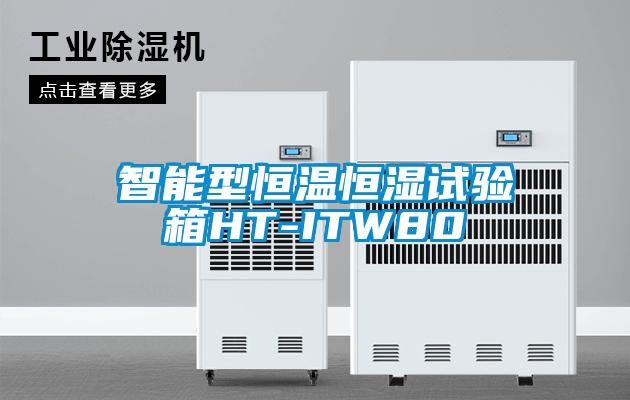欧美黄色性爱视频网站 智能型恒温恒湿试验箱HT-ITW80