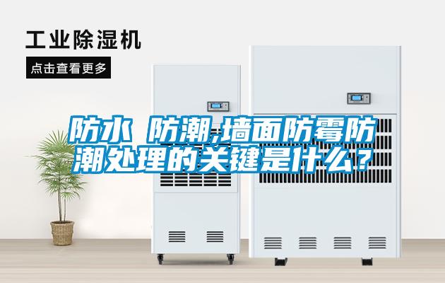 欧美黄色电影在线播放 防水≠防潮,墙面防霉防潮处理的关键是什么？