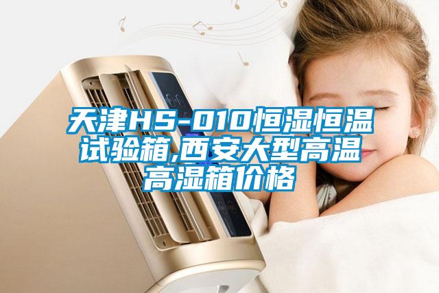 欧美黄色电影在线播放 天津HS-010恒湿恒温试验箱,西安大型高温高湿箱价格