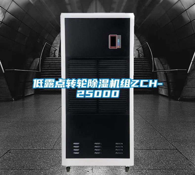 欧美成色手机在线观看 低露点转轮除湿机组ZCH-25000