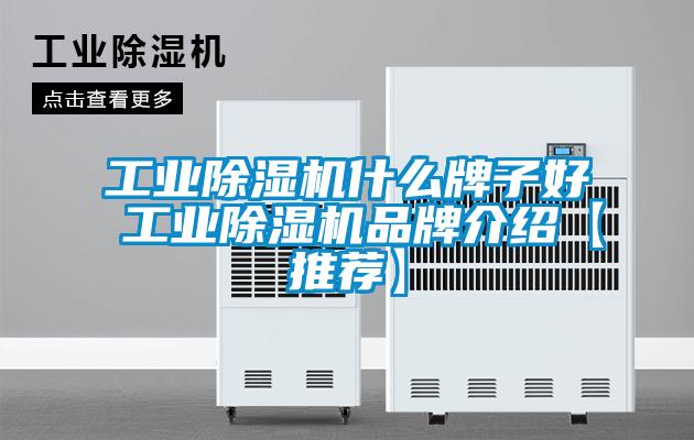 欧美成色手机在线观看 工业除湿机什么牌子好 工业除湿机品牌介绍【推荐】
