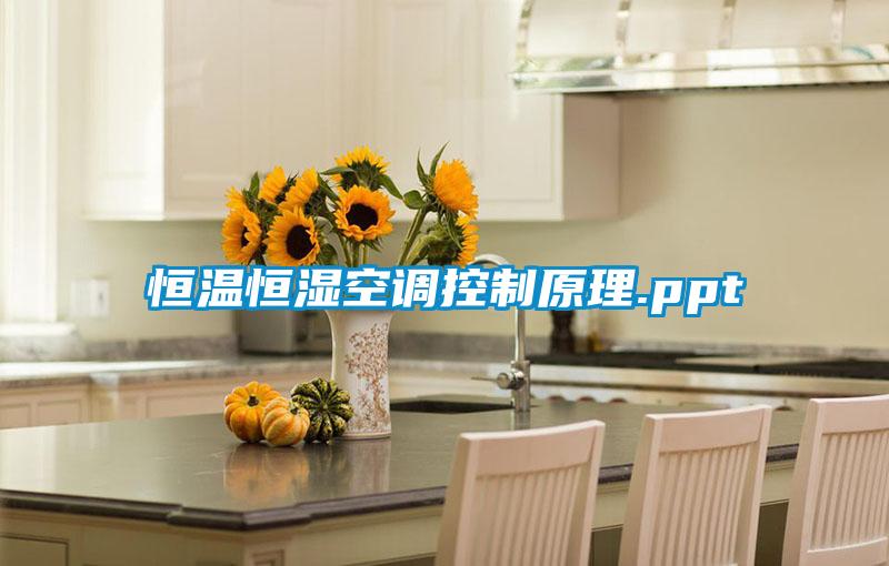 欧美黄色性爱视频网站 恒温恒湿空调控制原理.ppt