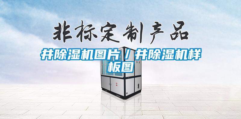 欧美黄色性爱视频网站 井除湿机图片／井除湿机样板图