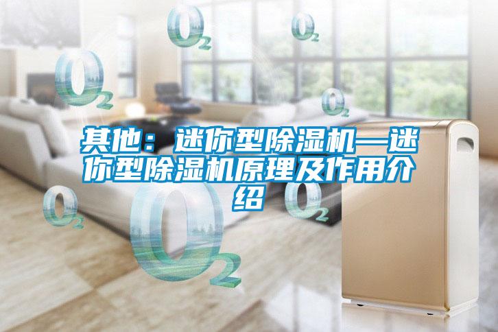 欧美黄色电影在线播放 其他：迷你型除湿机—迷你型除湿机原理及作用介绍