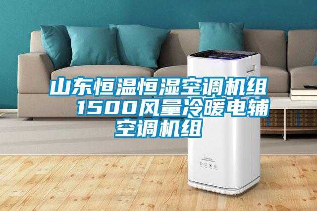 欧美黄色性爱视频网站 山东恒温恒湿空调机组  1500风量冷暖电辅空调机组