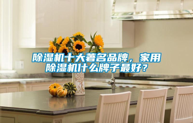 欧美黄色电影在线播放 除湿机十大著名品牌，家用除湿机什么牌子最好？