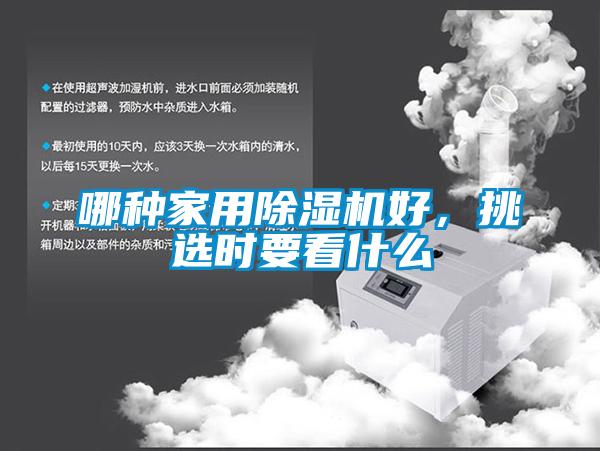 欧美成色手机在线观看 哪种家用除湿机好，挑选时要看什么