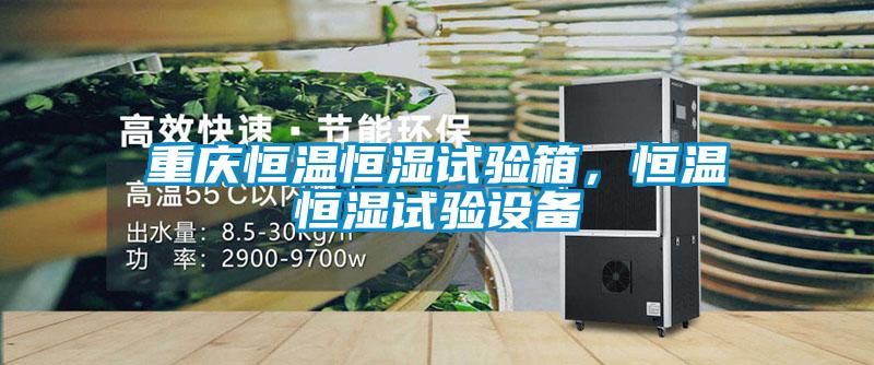 欧美黄色电影在线播放 重庆恒温恒湿试验箱，恒温恒湿试验设备