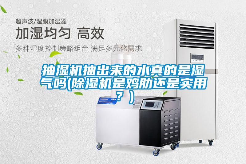 欧美成色手机在线观看 抽湿机抽出来的水真的是湿气吗(除湿机是鸡肋还是实用？)