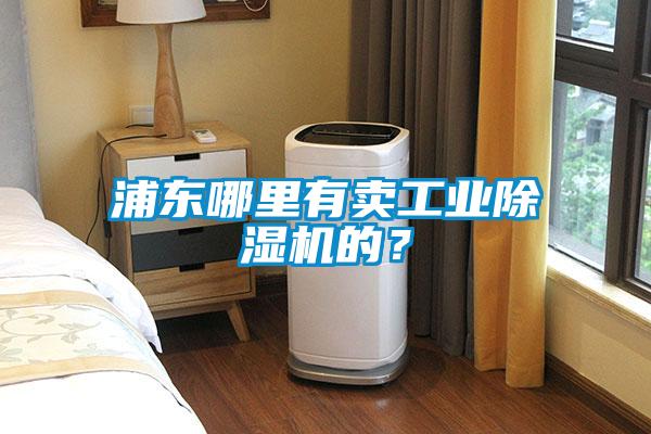 欧美黄色电影在线播放 浦东哪里有卖工业除湿机的？