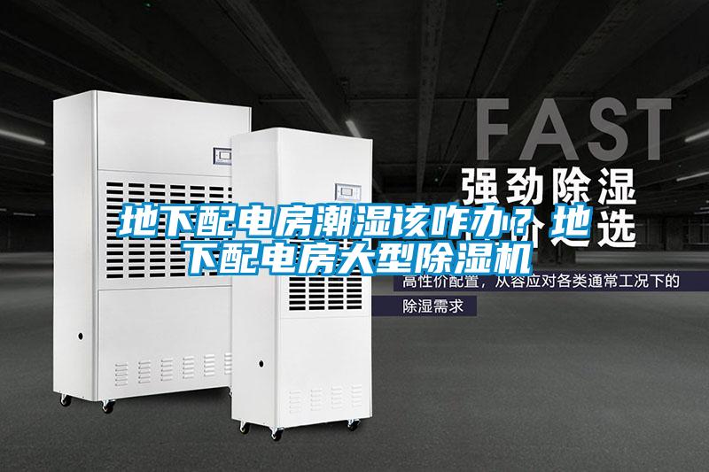 欧美成色手机在线观看 地下配电房潮湿该咋办？地下配电房大型除湿机