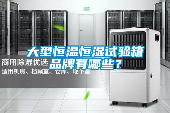 欧美黄色性爱视频网站 大型恒温恒湿试验箱品牌有哪些？