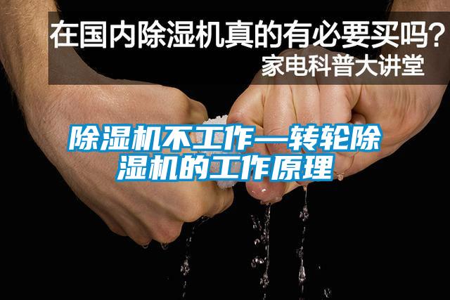 欧美成色手机在线观看 除湿机不工作—转轮除湿机的工作原理