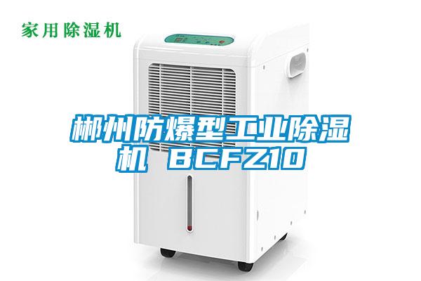 欧美黄色性爱视频网站 郴州防爆型工业除湿机 BCFZ10