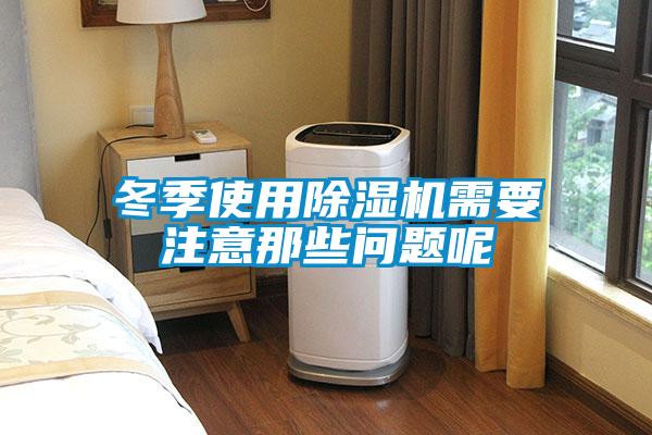 欧美成色手机在线观看 冬季使用除湿机需要注意那些问题呢