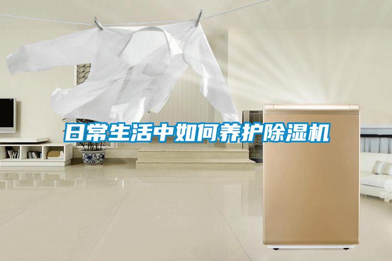 欧美成色手机在线观看 日常生活中如何养护除湿机