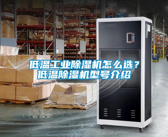 欧美黄色性爱视频网站 低温工业除湿机怎么选？低温除湿机型号介绍