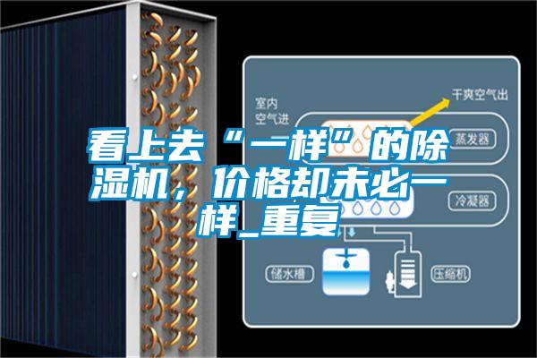 欧美成色手机在线观看 看上去“一样”的除湿机，价格却未必一样_重复