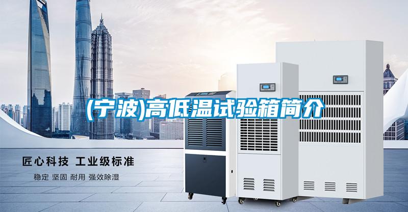 欧美黄色电影在线播放 (宁波)高低温试验箱简介
