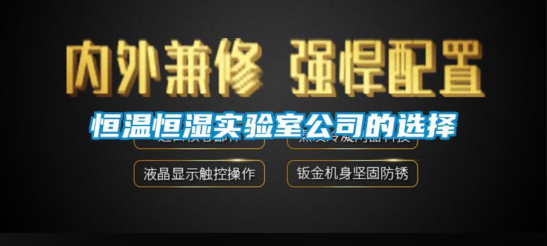 欧美黄色电影在线播放 恒温恒湿实验室公司的选择