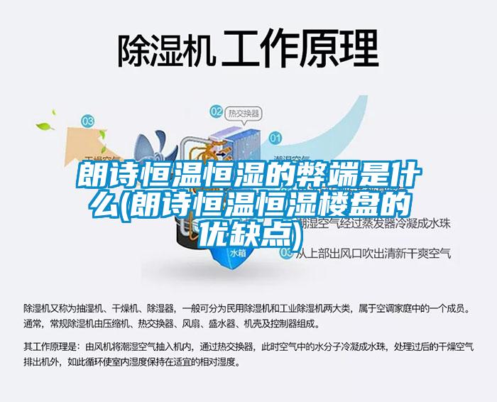 欧美黄色电影在线播放 朗诗恒温恒湿的弊端是什么(朗诗恒温恒湿楼盘的优缺点)