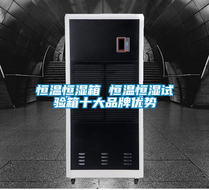 欧美黄色电影在线播放 恒温恒湿箱 恒温恒湿试验箱十大品牌优势