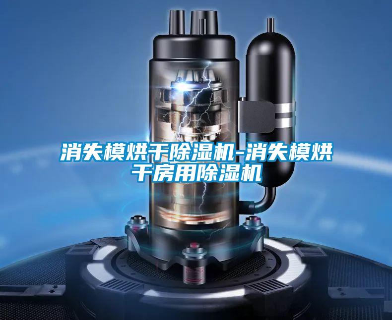 欧美黄色性爱视频网站 消失模烘干除湿机-消失模烘干房用除湿机