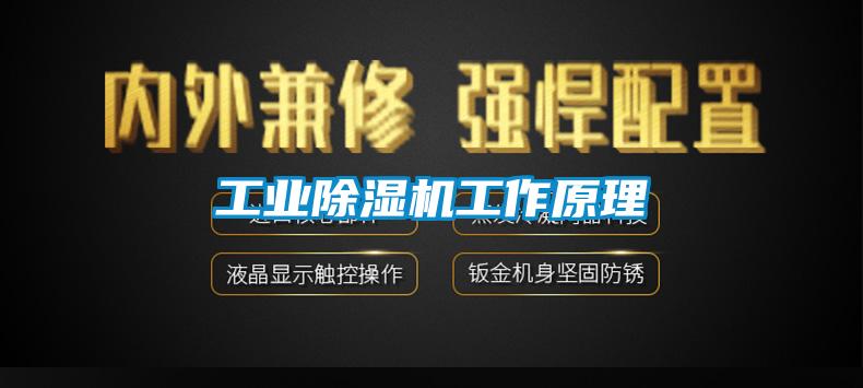 欧美黄色电影在线播放 工业除湿机工作原理