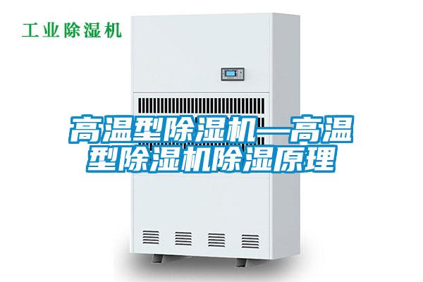 欧美黄色性爱视频网站 高温型除湿机—高温型除湿机除湿原理