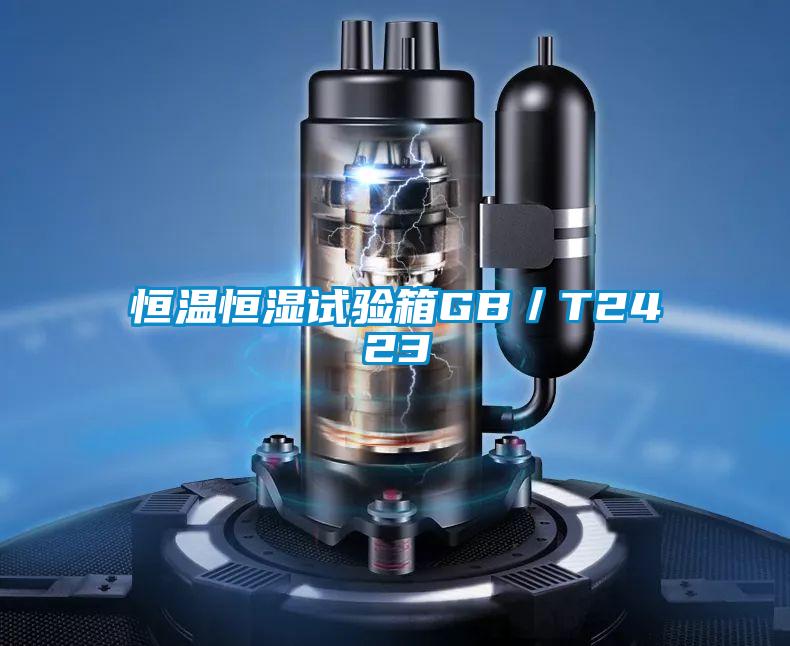 欧美黄色电影在线播放 恒温恒湿试验箱GB／T2423
