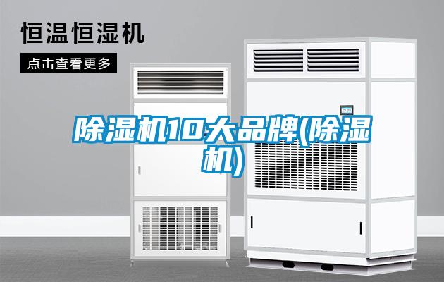 欧美黄色性爱视频网站 除湿机10大品牌(除湿机)