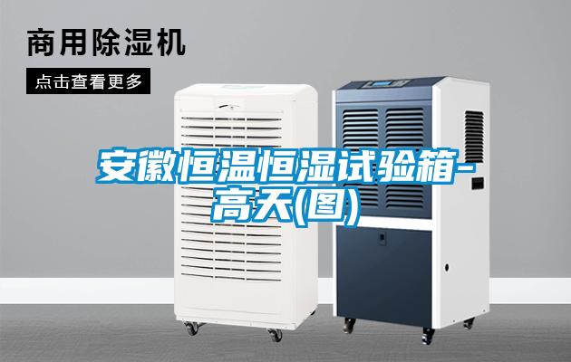 欧美黄色电影在线播放 安徽恒温恒湿试验箱-高天(图)