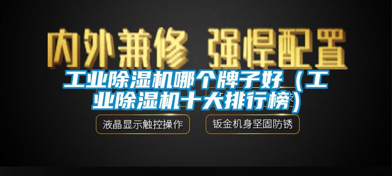 欧美黄色电影在线播放 工业除湿机哪个牌子好（工业除湿机十大排行榜）