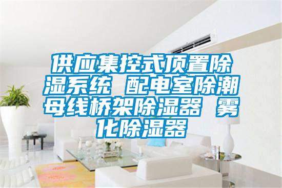欧美黄色性爱视频网站 供应集控式顶置除湿系统 配电室除潮母线桥架除湿器 雾化除湿器