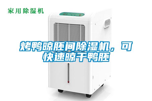 欧美黄色性爱视频网站 烤鸭晾胚间除湿机，可快速晾干鸭胚