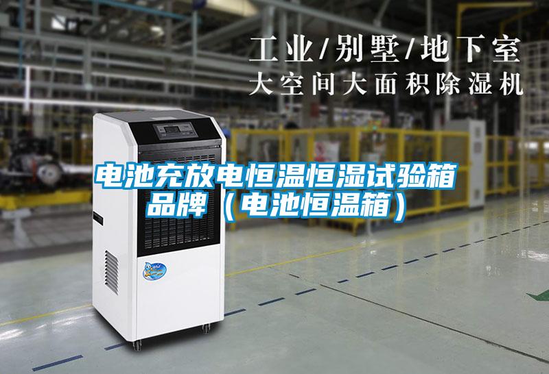 欧美黄色性爱视频网站 电池充放电恒温恒湿试验箱品牌（电池恒温箱）