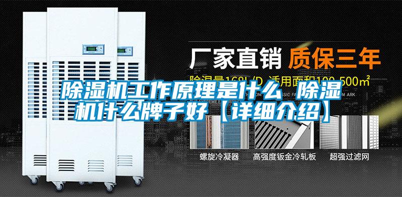 欧美黄色电影在线播放 除湿机工作原理是什么 除湿机什么牌子好【详细介绍】