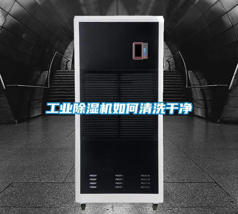 欧美成色手机在线观看 工业除湿机如何清洗干净